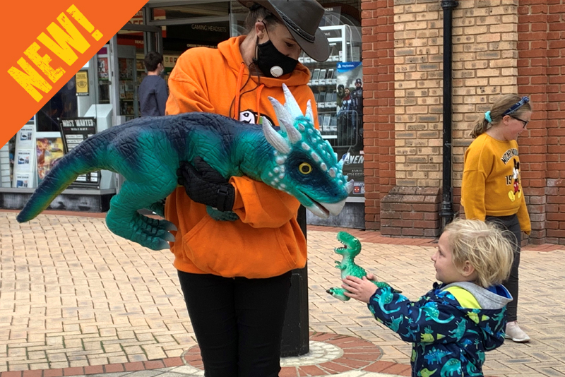 Dinobaby_Dracorex_NEW_v2